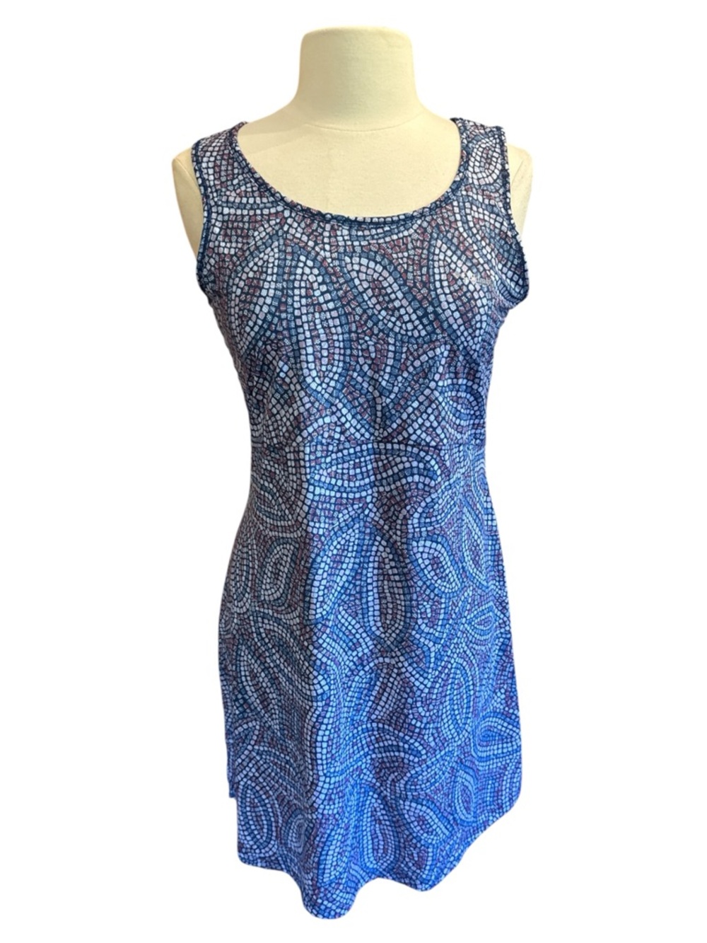 Columbia Women's PFG Freezer III Dress in a blue mosaic print Large